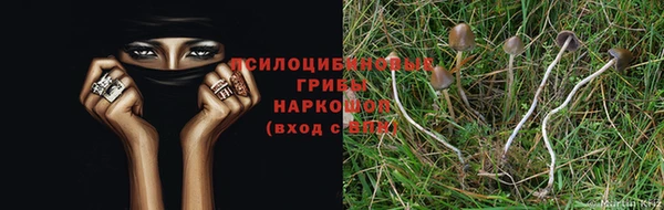 дмт Белоозёрский
