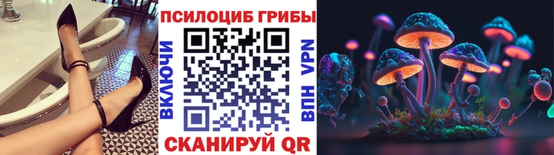 Псилоцибиновые грибы Cubensis  blacksprut   Кологрив 