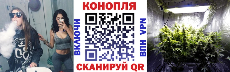 ОМГ ОМГ сайт  Кологрив  МАРИХУАНА план 